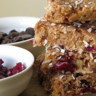 Vegan Coconut and Flaxseed Bars