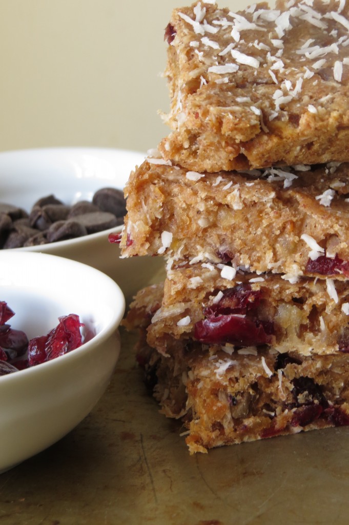 Vegan Coconut and Flaxseed Bars