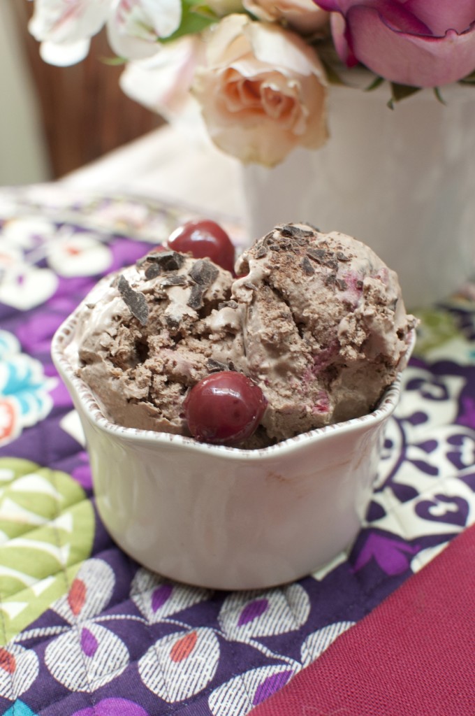 Vegan Cinnamon Chocolate Ice Cream